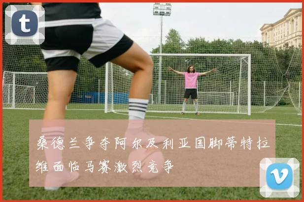 桑德兰争夺阿尔及利亚国脚蒂特拉维面临马赛激烈竞争