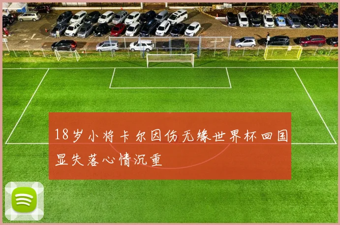18岁小将卡尔因伤无缘世界杯回国显失落心情沉重