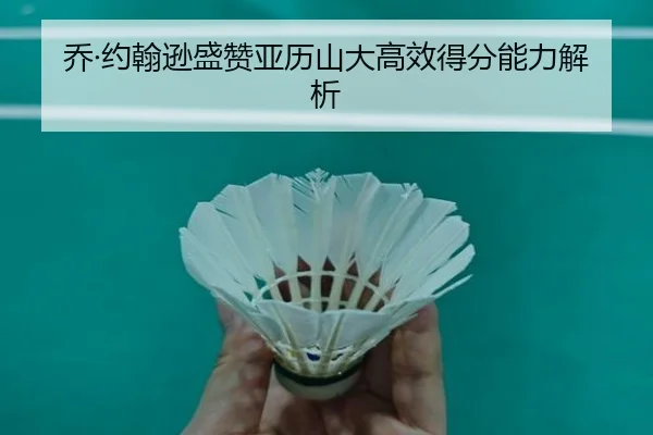 乔·约翰逊盛赞亚历山大高效得分能力解析（Baccarat）